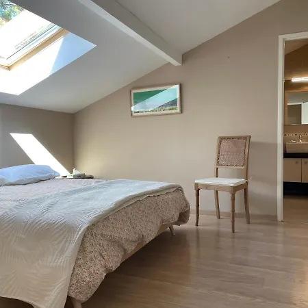 Superbe Appartement, Vue Foret Landaise Et Canal Hossegor Appartement