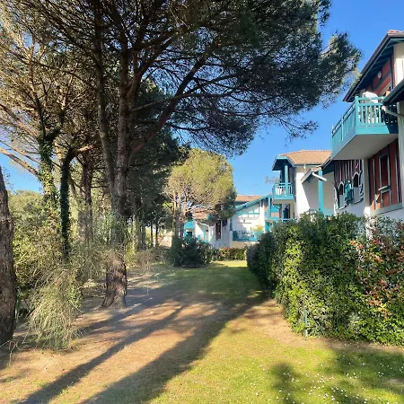 Superbe Appartement, Vue Foret Landaise Et Canal Hossegor Appartement