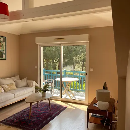 Superbe Appartement, Vue Foret Landaise Et Canal Hossegor