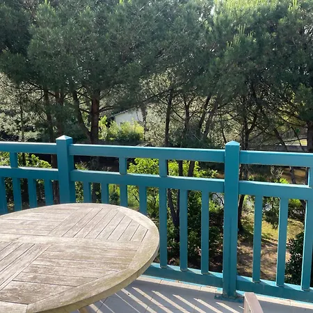 Appartement Superbe Appartement, Vue Foret Landaise Et Canal Hossegor *